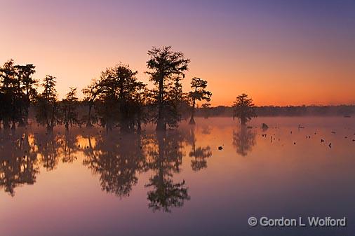 Lake Martin Dawn_26019.jpg - Photographed in the Cypress Island Preserve near Breaux Bridge, Louisiana, USA.